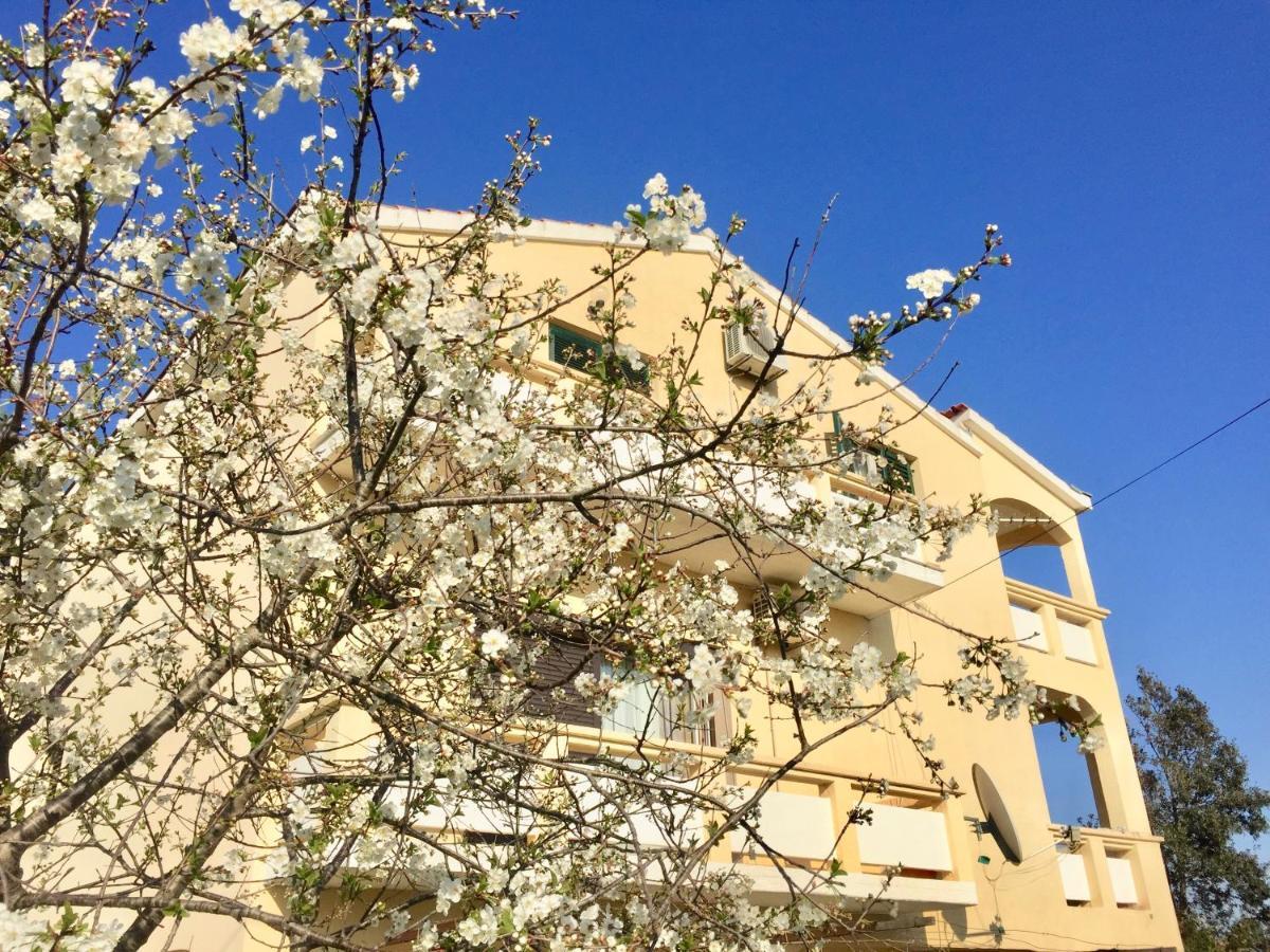 Sobe Bosiljka Hotel นิน ภายนอก รูปภาพ